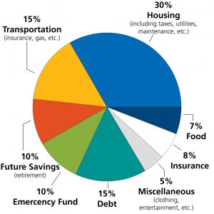 Pie chart showing a general budget in percentages.