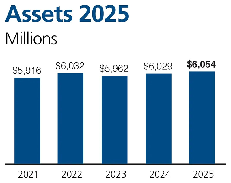 Chart showing asset growth for 5 years