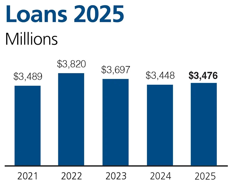 Chart showing loan growth for 5 years