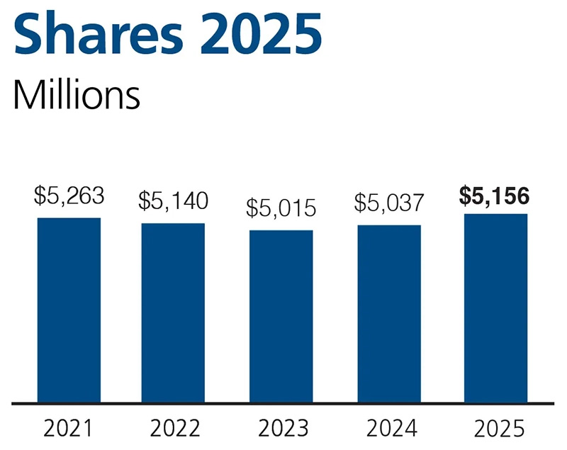 Chart showing share growth for 5 years
