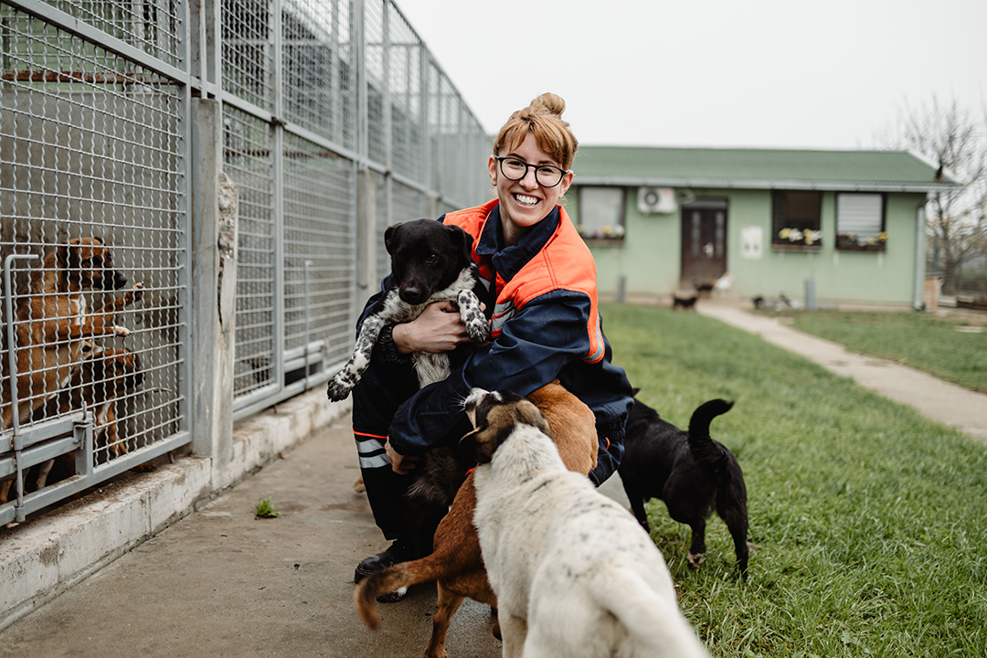 A woman with a group of dogs gathered around her.