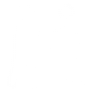 Icon of two people shaking hands representing no competition