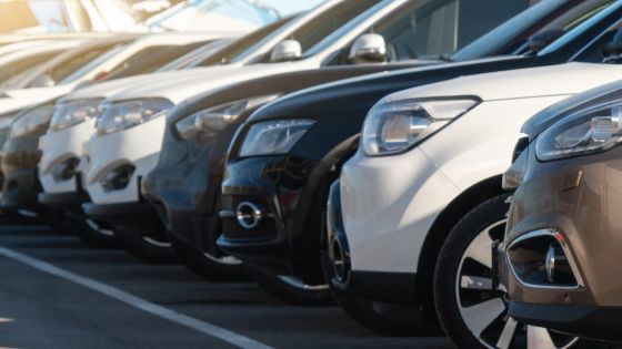 car dealership row of cars for sale