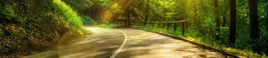 Background Road for Repo Car Finder Area