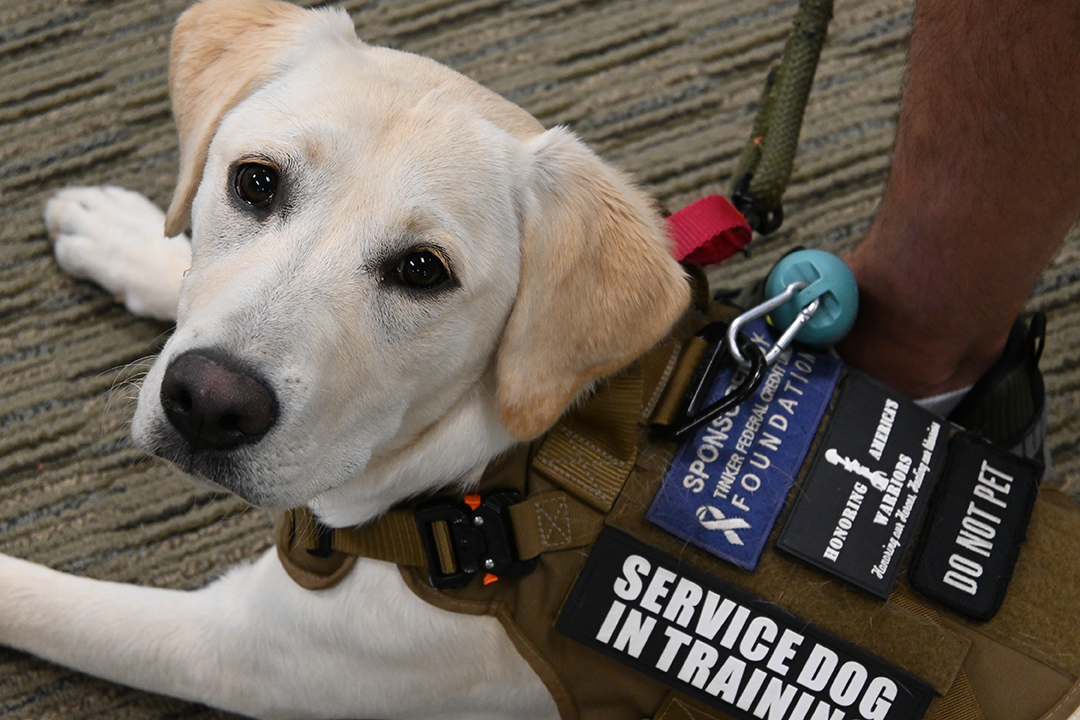 TFCU Foundation Oklahoma Tinker Federal Credit Union