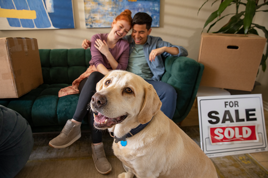 Young couple sitting on a couch and watching a dog