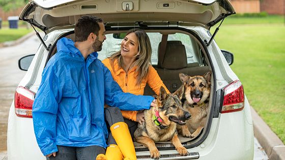 Two young couple with their dogs sitting in the trunk of their car